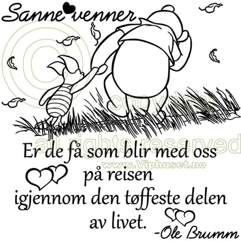 Sanne venner