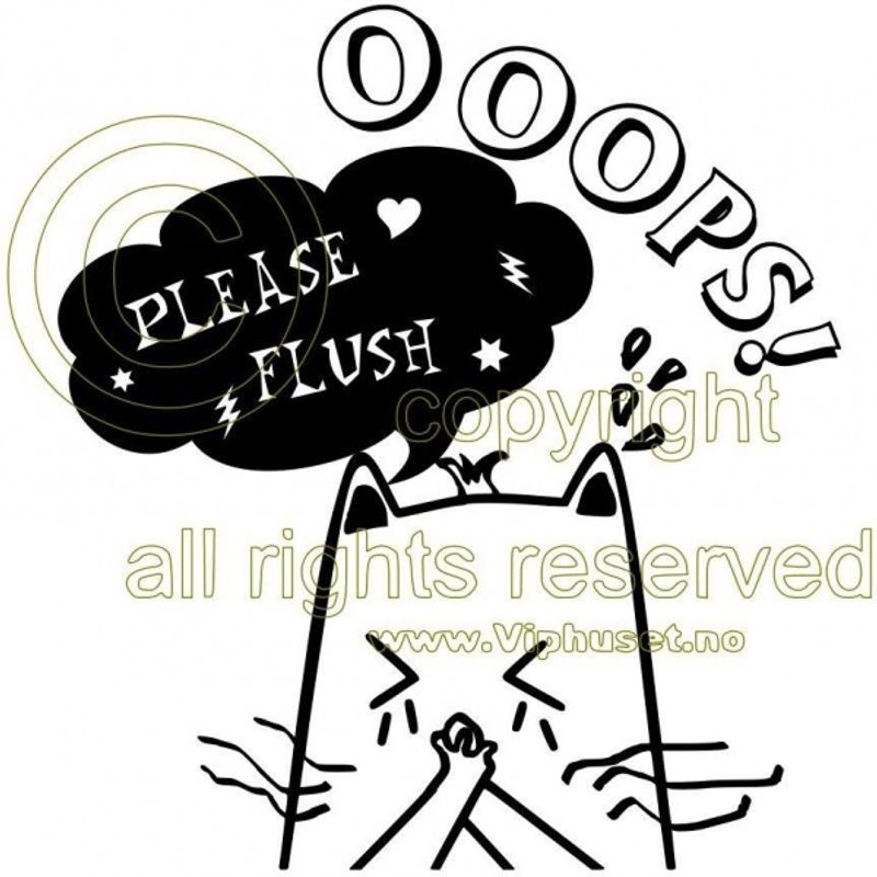Oops please flush