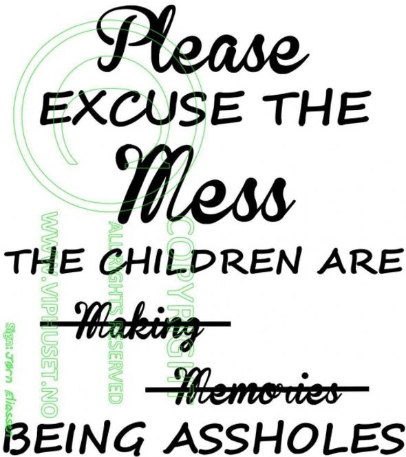 Hovedbilde Please excuse- being assholes