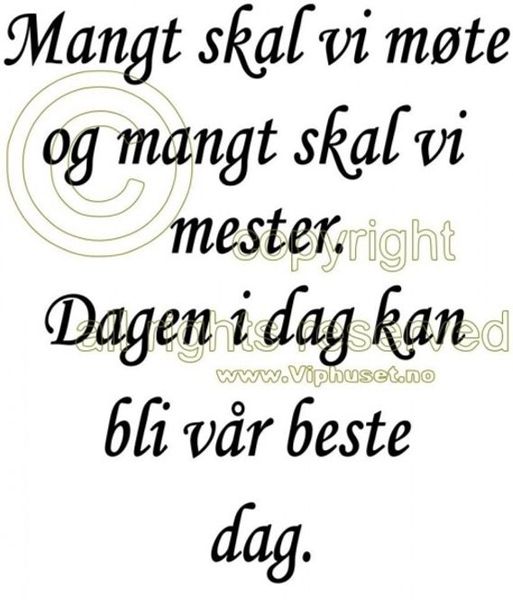 Hovedbilde Mangt skal vi møte2