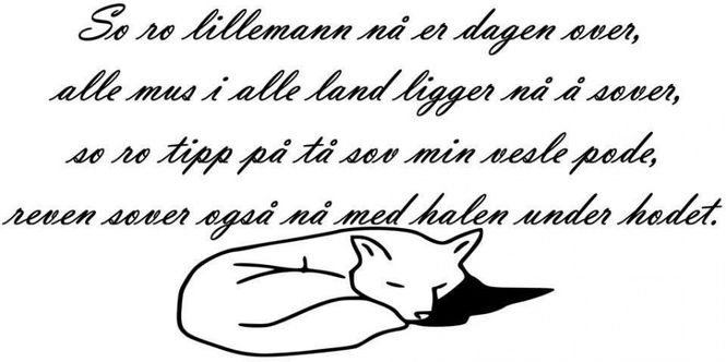 Hovedbilde So ro lille mann