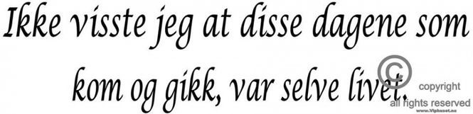 Hovedbilde ikke viste jeg