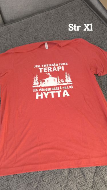 Hovedbilde Terapi hytta (xl )