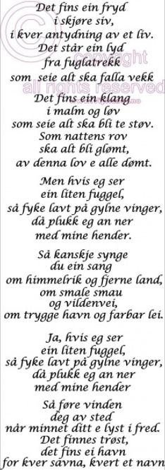Hovedbilde Det fins ein fryd