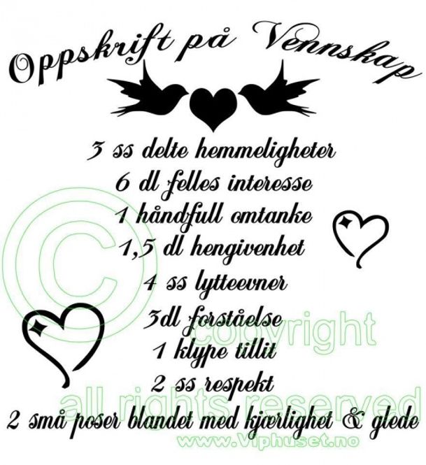 Hovedbilde Oppskrift på vennskap 