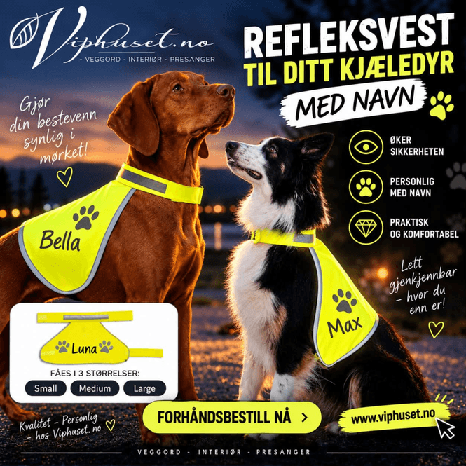 Hovedbilde Reflekshund